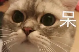 惊！高速路上刹车突然失灵怎么办？图片