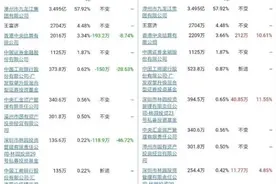 林园独家回应：我们并未减持片仔癀 只是对基金规模做了调整而已图片