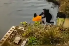 被同伴推下水女子女儿再发声：妈妈生前性格开朗，没得罪过人视频封面