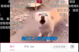 “打工人梗”爆火，无形拉近了焦虑的你我图片