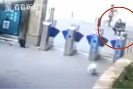 外卖员送餐后抱走宠物狗 曾多次拍手引诱……图片