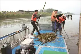 张甸“书记项目”一举两得图片