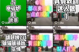 南京流浪猫救助者被质疑骗捐 民警：她未借机敛财图片