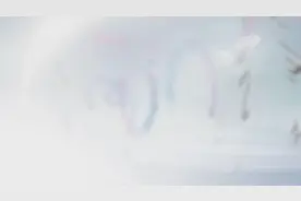 壁虎为什么能紧紧贴着墙壁？图片