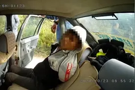 愤怒！为解馋两男子毒杀十条狗被刑拘图片