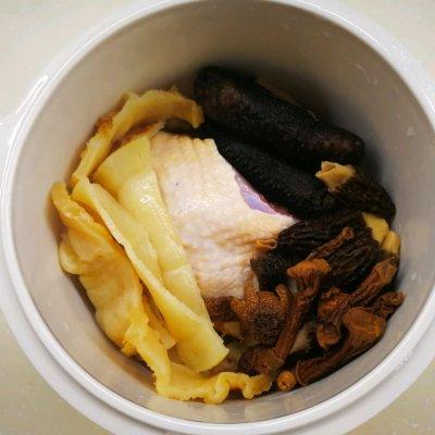 海参花胶羊肚菌炖鸡的做法 2026年花胶海参羊肚菌煲鸡汤的做法 海参花胶羊肚菌炖鸡的做法 2026年花胶海参羊肚菌煲鸡汤的做法