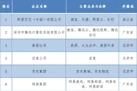 中国互联网企业综合实力研究报告出炉 阿里巴巴与企查查双双登顶图片