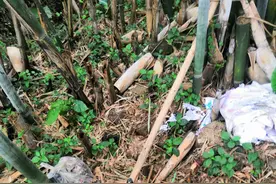 无罪之“囚”①｜妈妈消失40天后，爸爸被抓走了图片