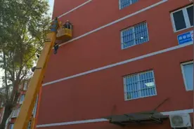 31秒｜稀奇！小区外墙保温层被啄木鸟“埋头苦啄”13个洞图片