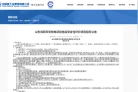 山东将新增一座核电站，辛安核电项目首台机组计划2022年2月开工图片