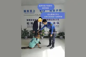 深圳网红狗下楼送水杯后续来了！主人认缴500元罚单……图片