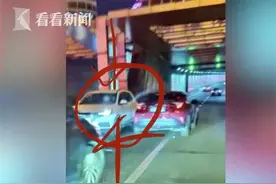 跟着导航走偏？隧道开车一路逆行 罚200扣3分图片