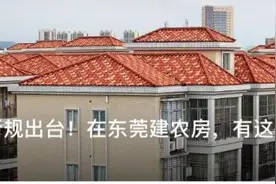 详细指南来了！在东莞报建农房，要这样做……图片
