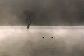 四季之歌 | 秋去冬来万物藏图片