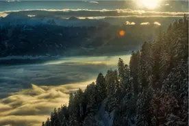 广东佛山市三水区乐平镇道路（三水大道、塘西大道、乐大线）绿化养护及环卫保洁服务项目公开招标公告图片