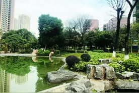 地名故事有奖征集丨关于柳州，你有哪些独家记忆？图片