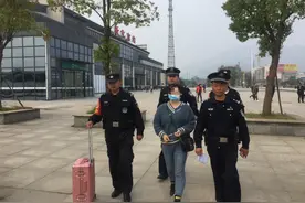 网上买仔猪，反被“杀猪”骗走30万图片