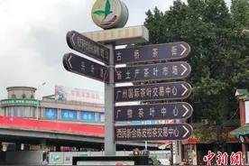 减税降费效果显现：中国最大茶叶批发市场回暖图片