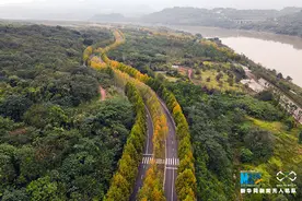 彩色重庆又上线了！每一帧都是一幅画图片