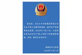 河北农民企业家孙大午涉嫌寻衅滋事被查 或因农场占地纠纷图片