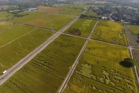 让村民记得住乡愁！桐乡河山镇凝聚乡贤力量助推乡村振兴图片