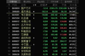 芯片股不香了？龙头罕见跌停，“网红基金”诺安成长净值大起后大落图片