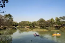 “双西”景区旅游如何更方便更有温度？相关部门和专家学者在专题座谈会把脉 资源整合 数字赋能 精细管理图片