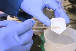 有机小分子 向催化更深处探索视频封面