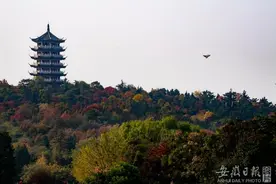 视觉皖北｜蚌埠张公山层林染尽，秋色更浓图片