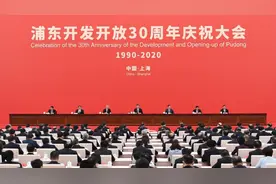 三十年相册！打开浦东的“成长记忆”图片