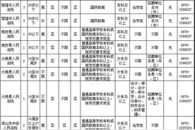大部分不限专业！云南省法院系统招聘364人图片