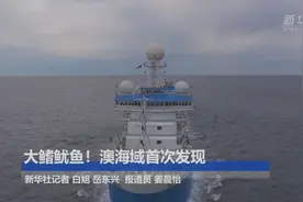 大鳍鱿鱼！ 澳海域首次发现视频封面