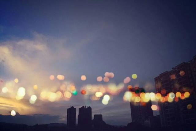 鱼翅海参花胶鸡怎样煲汤 2026年鱼翅花胶海参鸡汤的做法