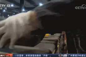 送个快递提成仅1毛？警惕价格战让快递小哥与消费者“两败俱伤”图片