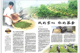 日照茶手工炒制技艺：我的掌心 你的茶香图片