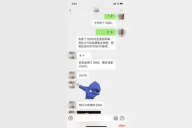 在猫舍配种时，2.8万的布偶猫19楼坠亡 主人索赔3.5万未果将诉诸法律图片