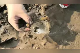 又是一个大潮日 市民游客沙子口海滩赶海忙图片