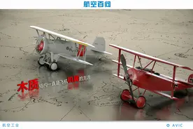 航空百问：机翼何其妙哉 竟乘风而起图片