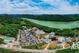 党建引领乡村振兴，封开台洞两年迎来三大变图片