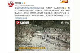 农家乐老板教唆金毛偷鸡300多只 失主：狗是聪明，可人不该干这事图片