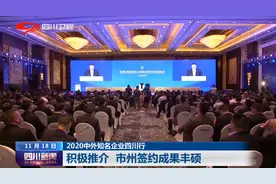 四川新闻丨2020中外知名企业四川行 签约成果丰硕图片