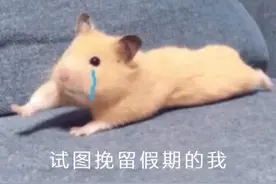 最全！江苏高校寒假时间出炉！第一名居然是……图片