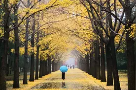 北京经历中雨天气过程 未来几天最低气温将降至零下