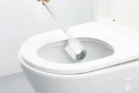 懒惰使人类进步：不想刷马桶，那就让马桶自己变干净丨种草机图片