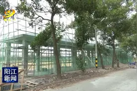 阳江高新区平冈镇森林公园建设进度过半图片