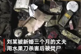 上海杀妻焚尸案爱犬救主冲入火海细节曝光 狗狗救主牺牲令人泪目图片