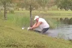 佛罗里达州一男子赤手角力鳄鱼 救下一只小狗图片