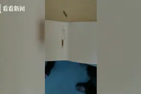 儿童零食包装上惊现4条蛆虫 超市负责人：自己爬进去的图片