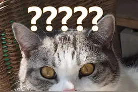 深圳一男子申请手机号失败，一查发现名下有19个号码！这些查重方式你要知道……图片