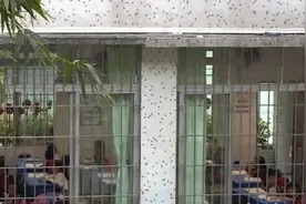 飞来横祸！佛山一年级小学生被铅笔击中，险失去眼球图片